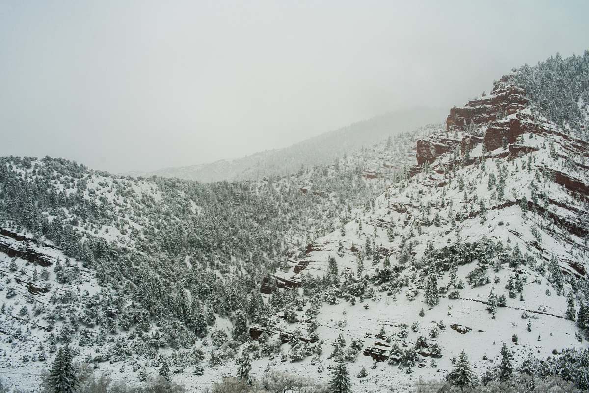 grey landscape photo of snow mountain during daytime plant
