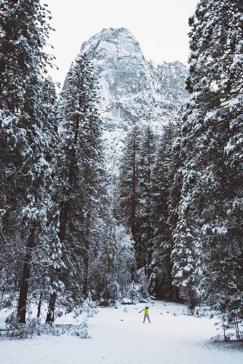 fir person standing on field of snow surrounded by trees mountain