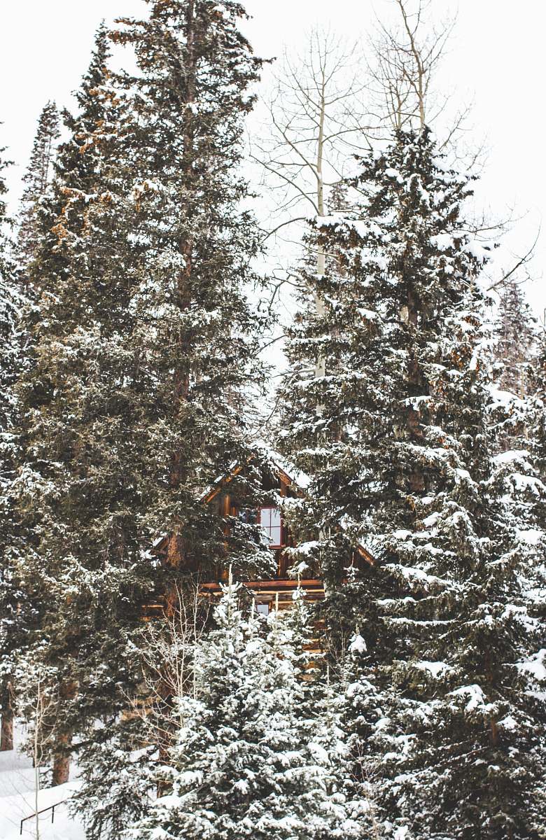 snow photography of brown house surrounded by green forest trees trees
