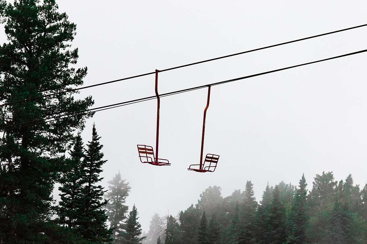 plant two cable chairs fir