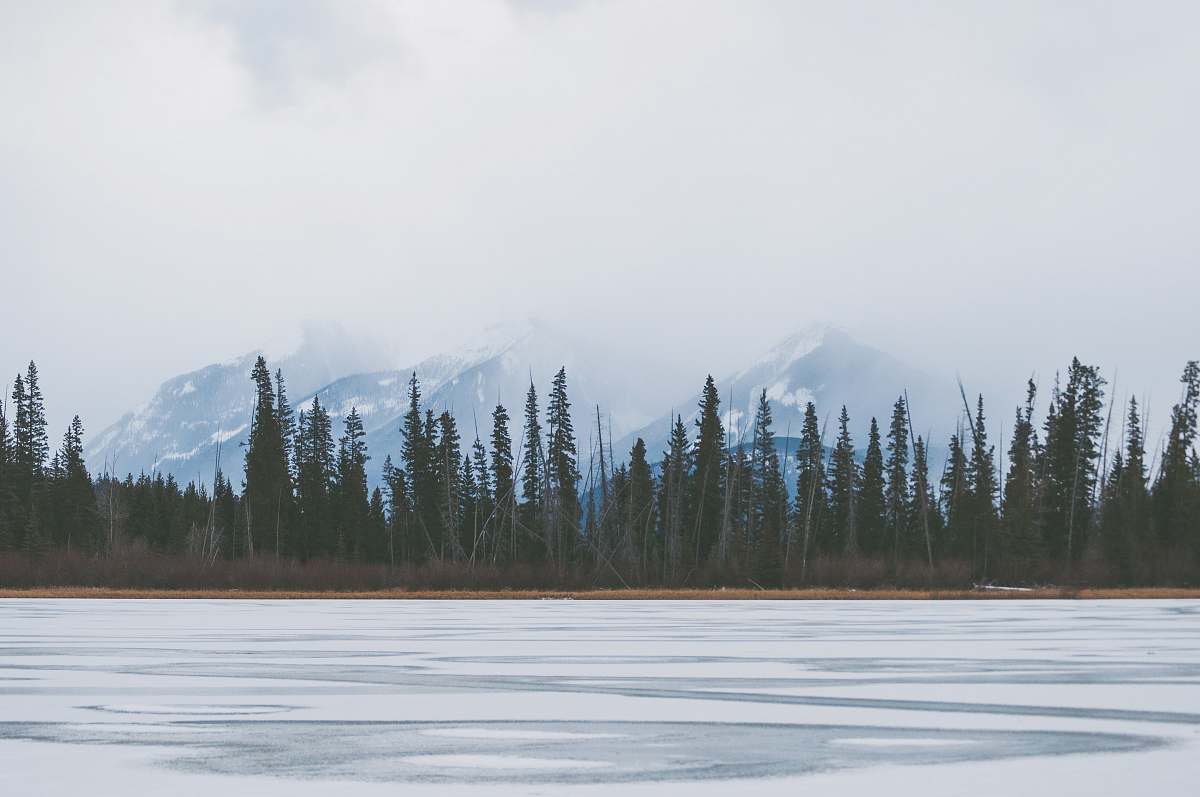 lake frozen lake near tall green trees canada