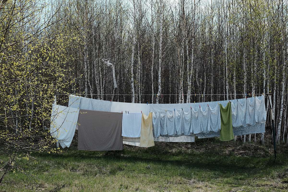 grey gray text hang to dry near forest tress linen