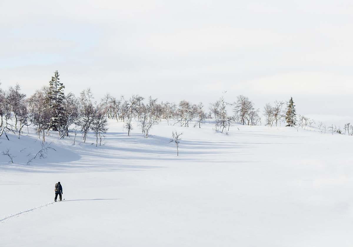 sweden man walking on snow field during daytime nature