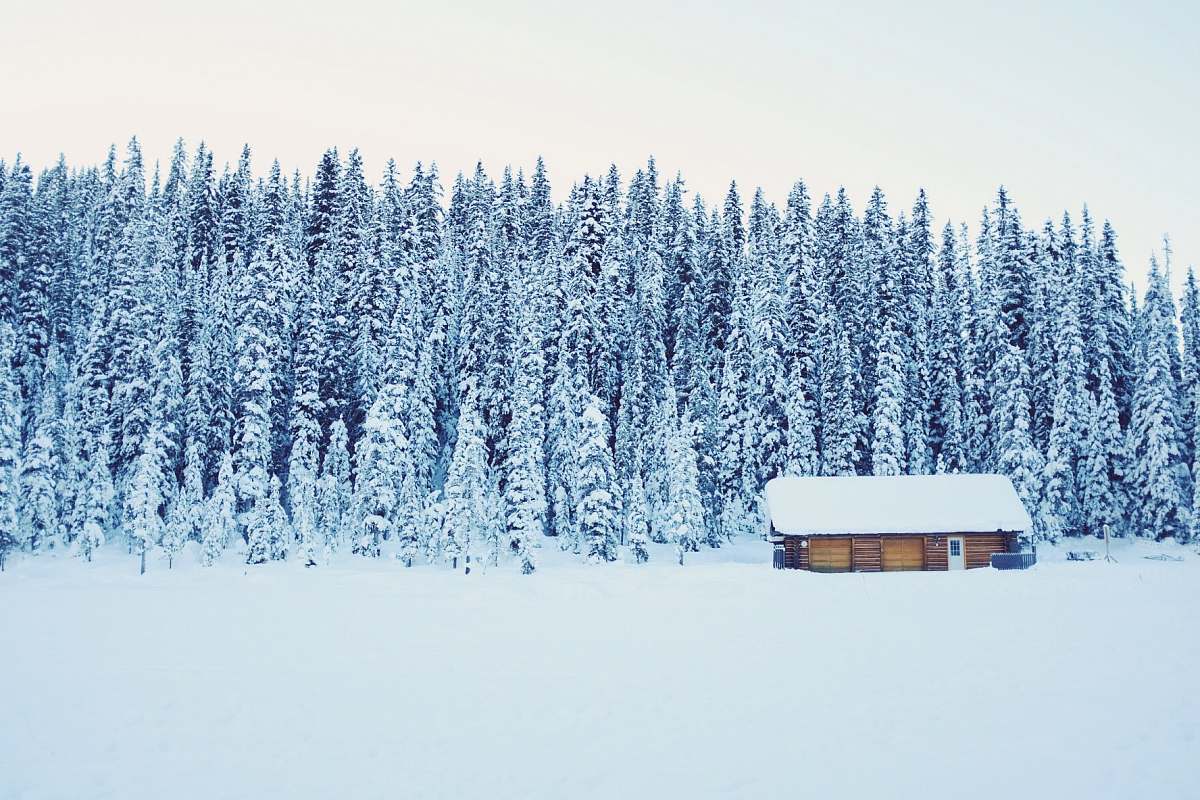 house snow covered brown wooden house near trees cabin