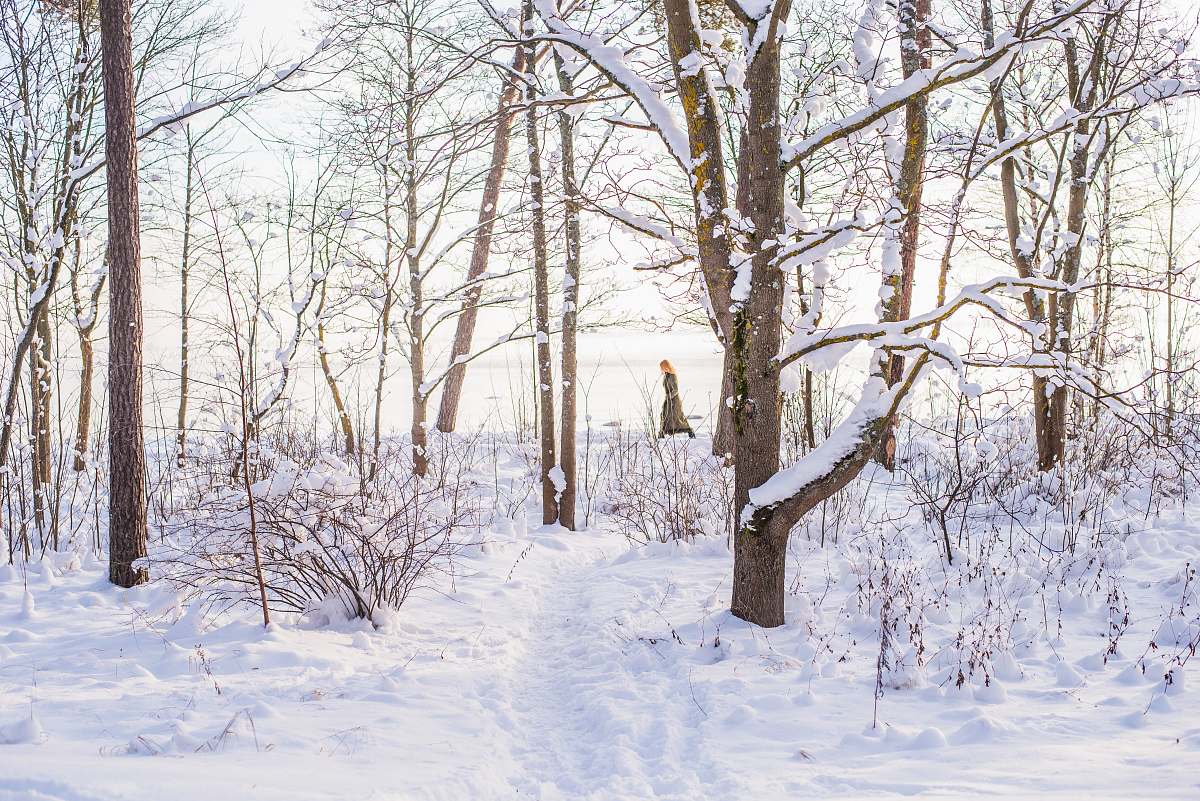 nature snow on brown tree winter