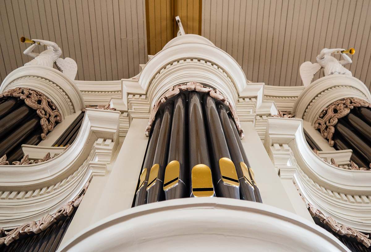 netherlands low angle photography of bamboo organ dorpskerk