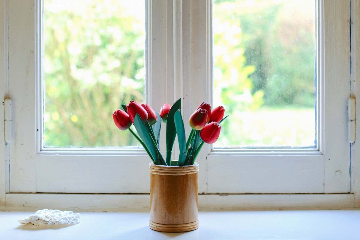 flower red tulips on clear glass jar plant