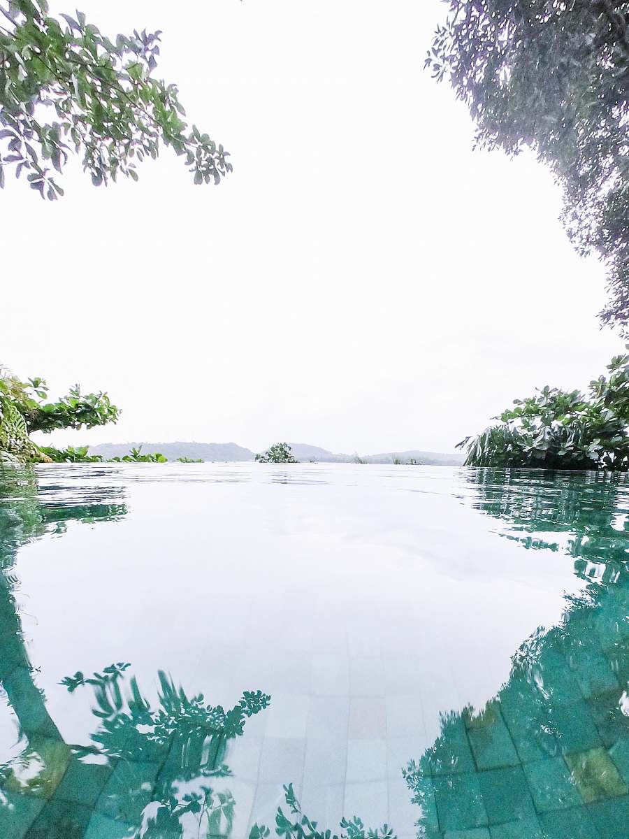 nature body of water near trees during daytime outdoors