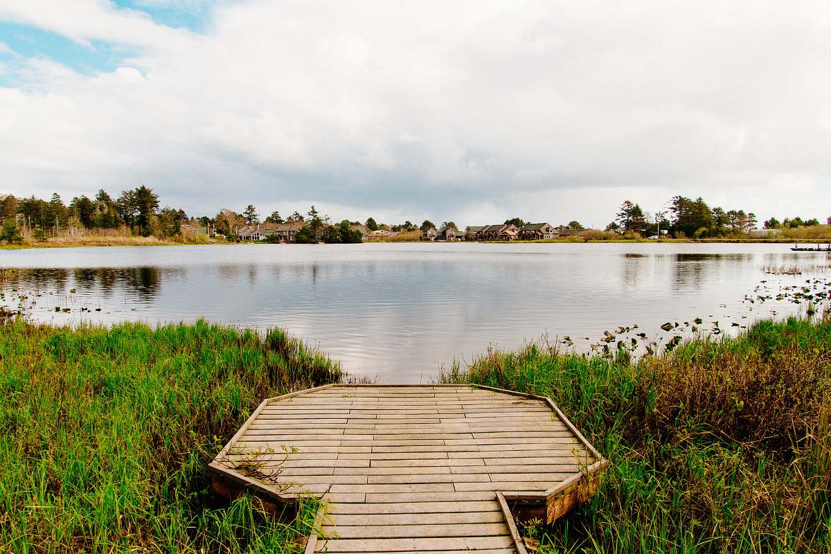 boardwalk landscape bridge