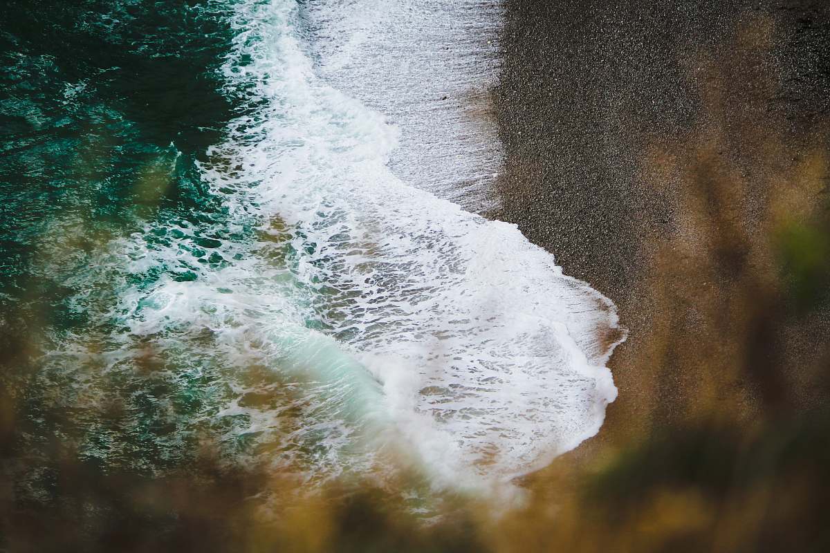 beach body of water coast