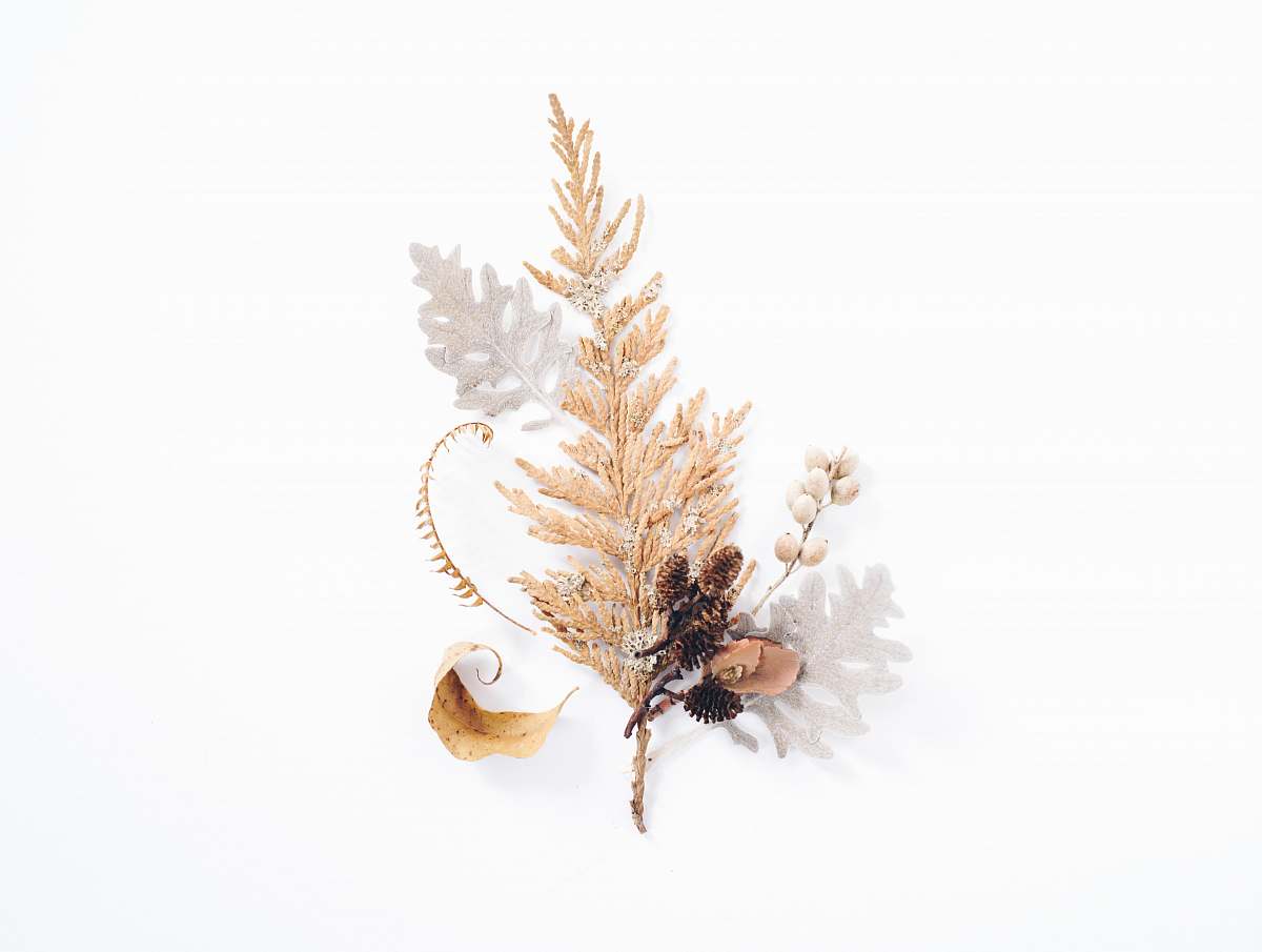 background gold leaf decor in white background brown
