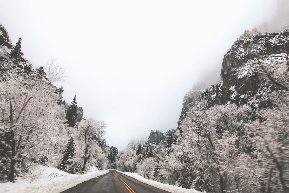 trees landscape photography of road in the middle of mountains and trees road