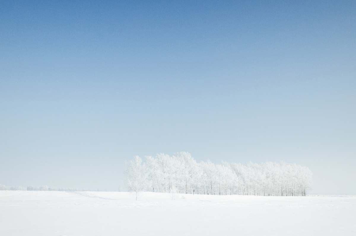 blue snow-coated field under clear blue sky during daytime winter