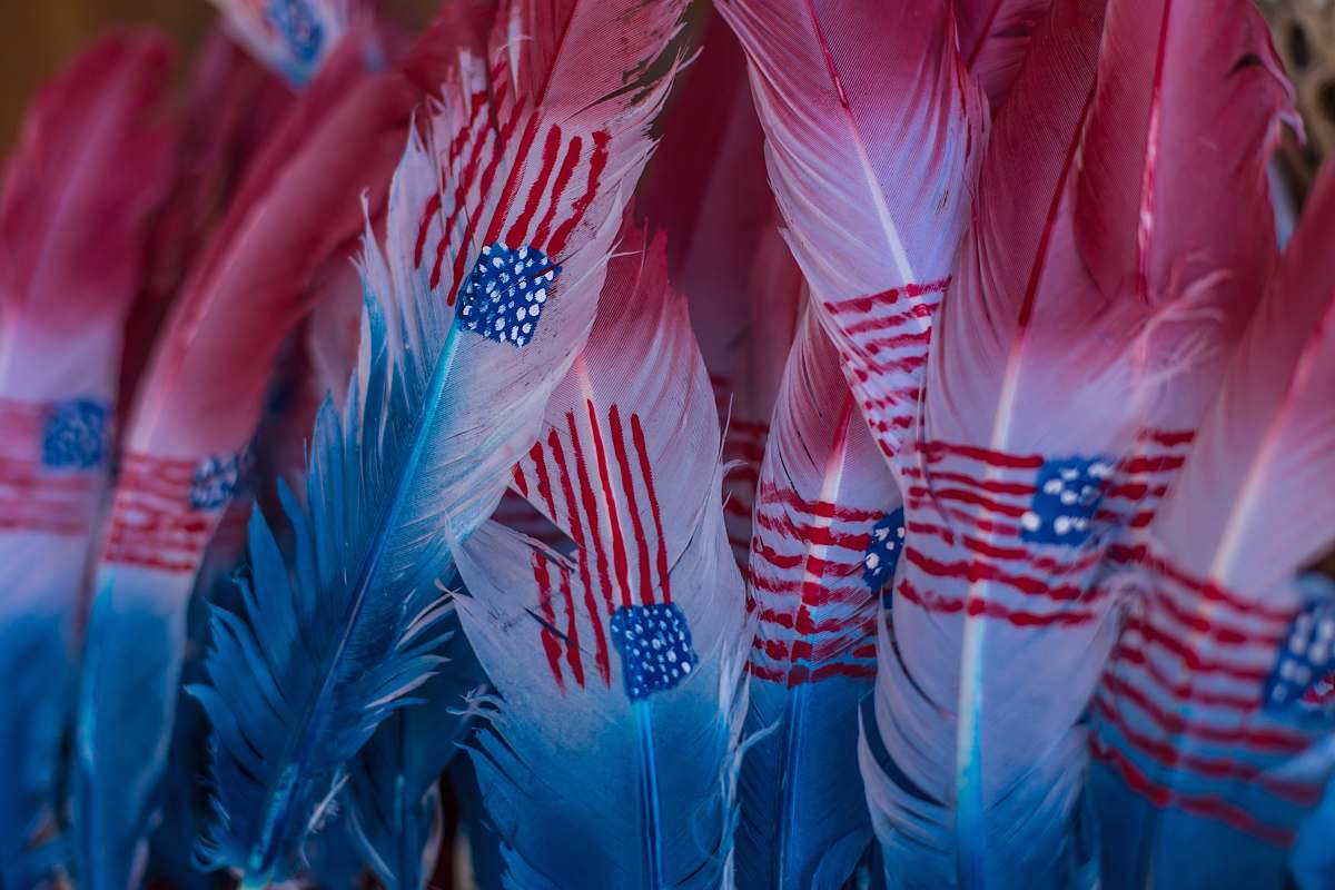 blue U.S.A. flag on feathers feather