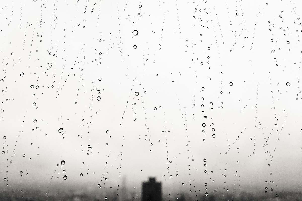 rainy water drops water drop