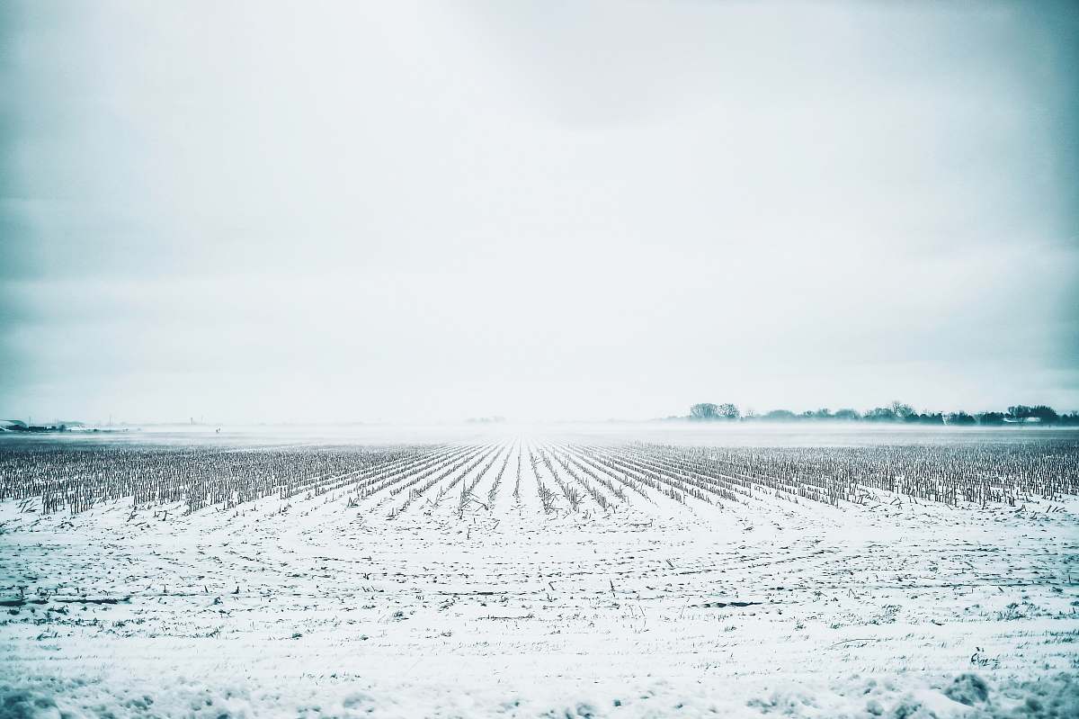 nature white field during daytime outdoors