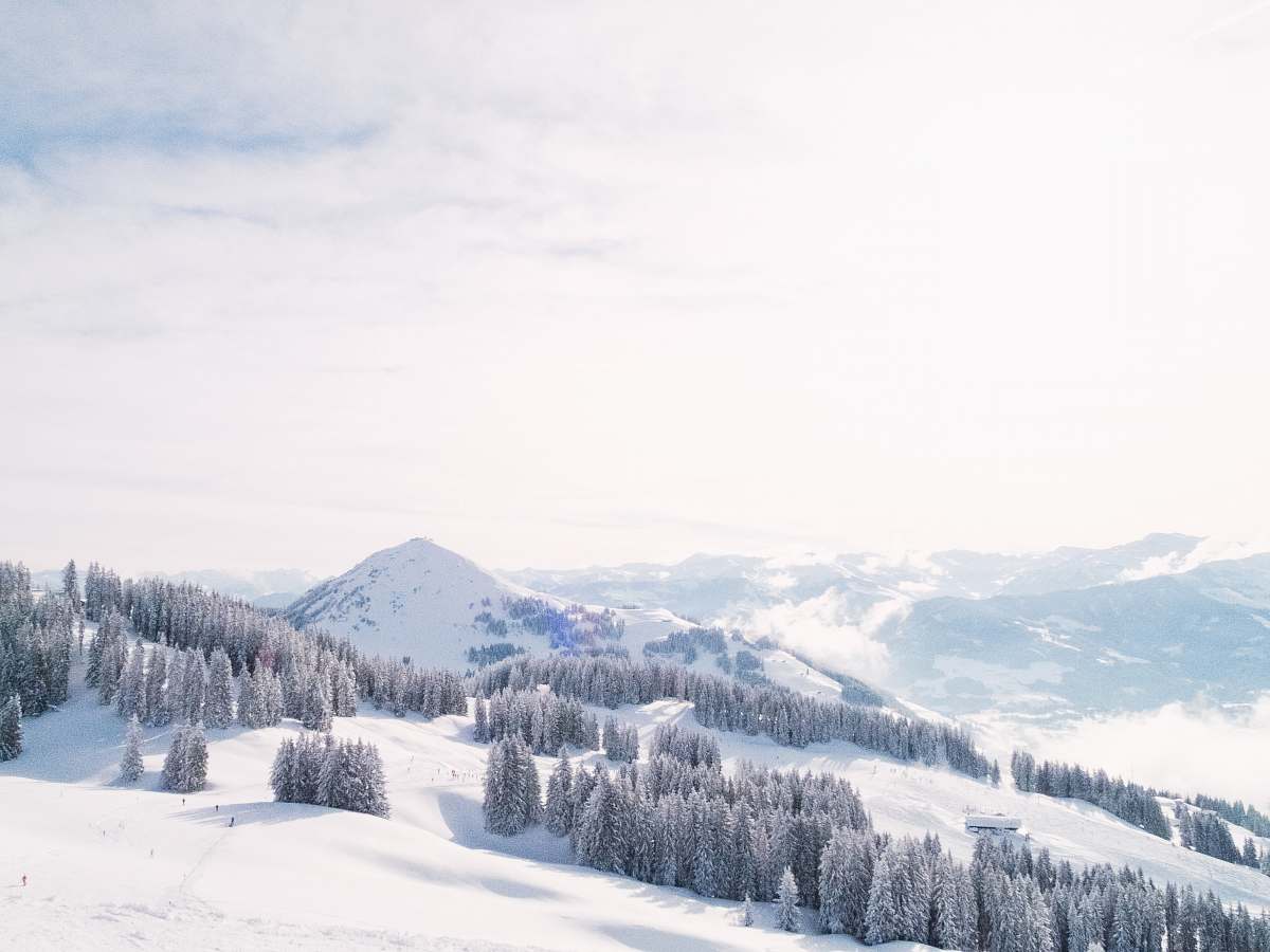 mountain aerial photography of mountain covered with snow forest