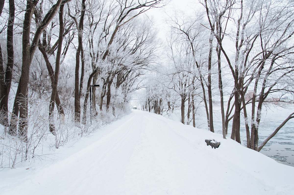 snow dirt road cover by snow nature