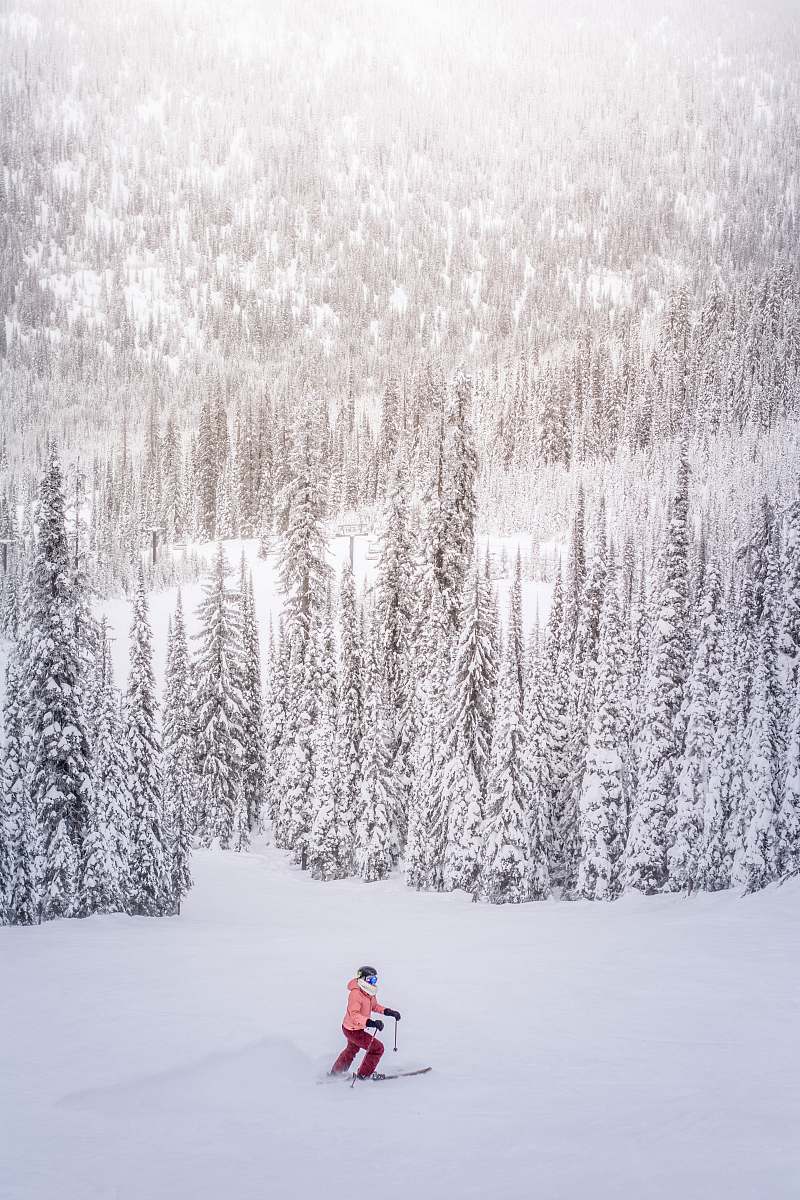 snow person on snow near tall pine trees at daytime outdoors