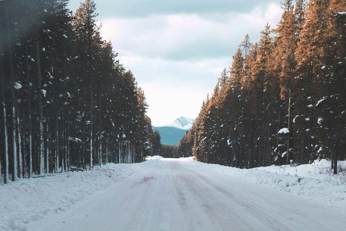 road road filled with snow going to mountain between trees during snow banff