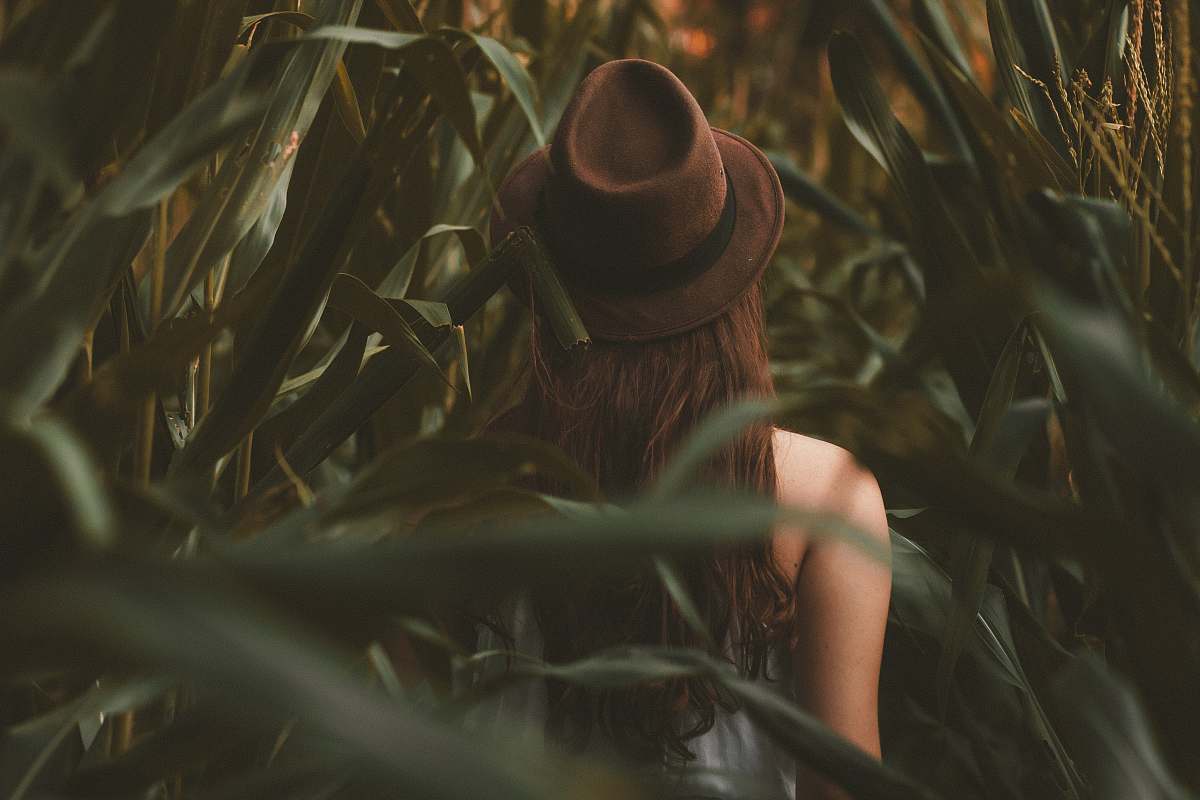 hat  foliage