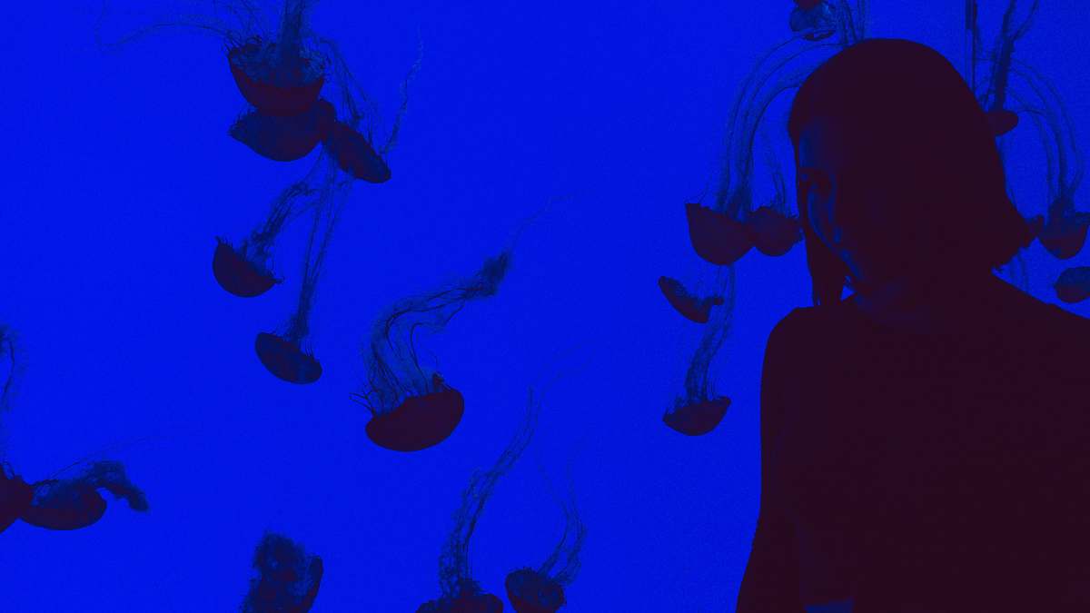  silhouette of woman 