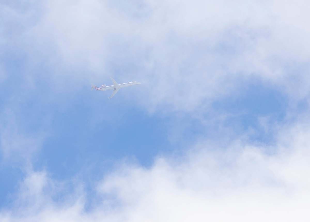 bird low-angle photo of white plane flying