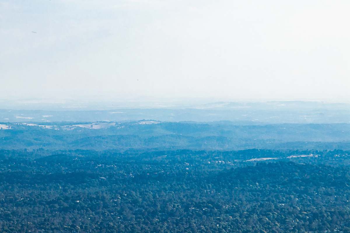 nature aerial photograph of forest landscape