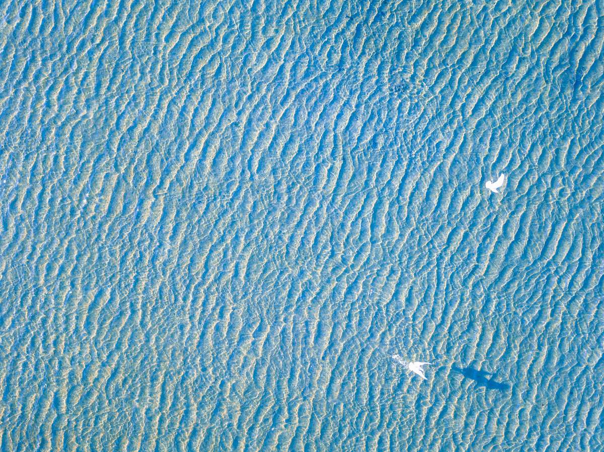 rug aerial photography of body of water texture