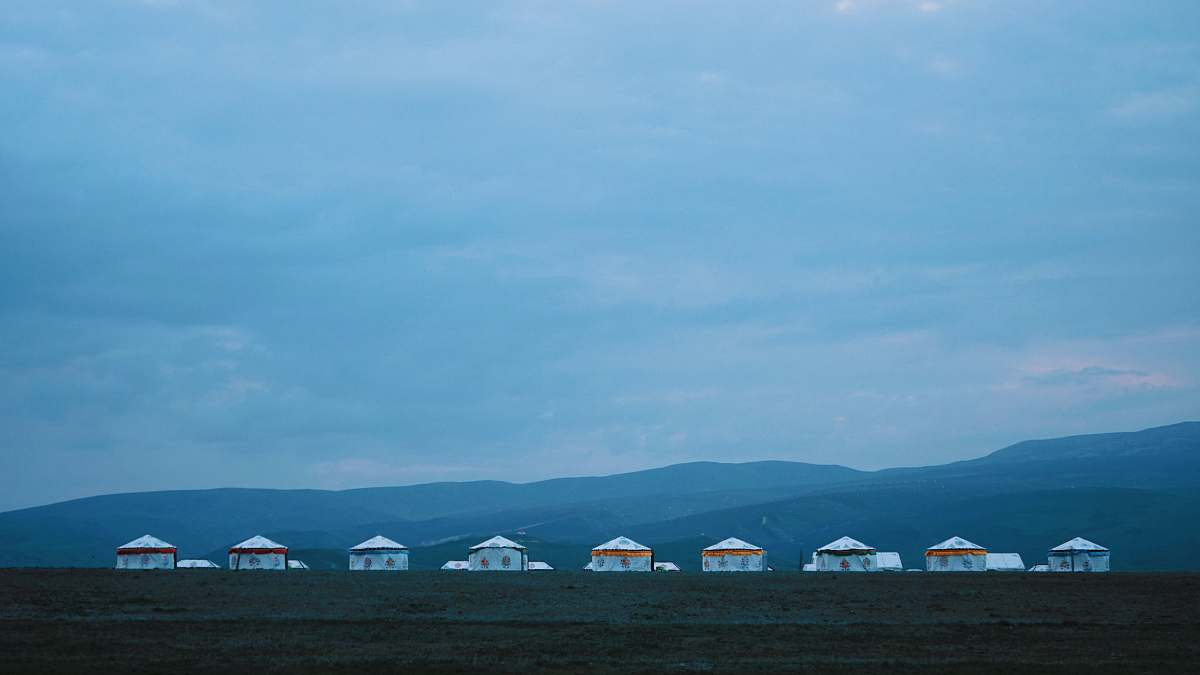 nature aligned houses on field outdoors