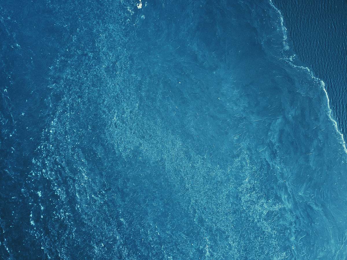 nature bird's-eye view of body of water water