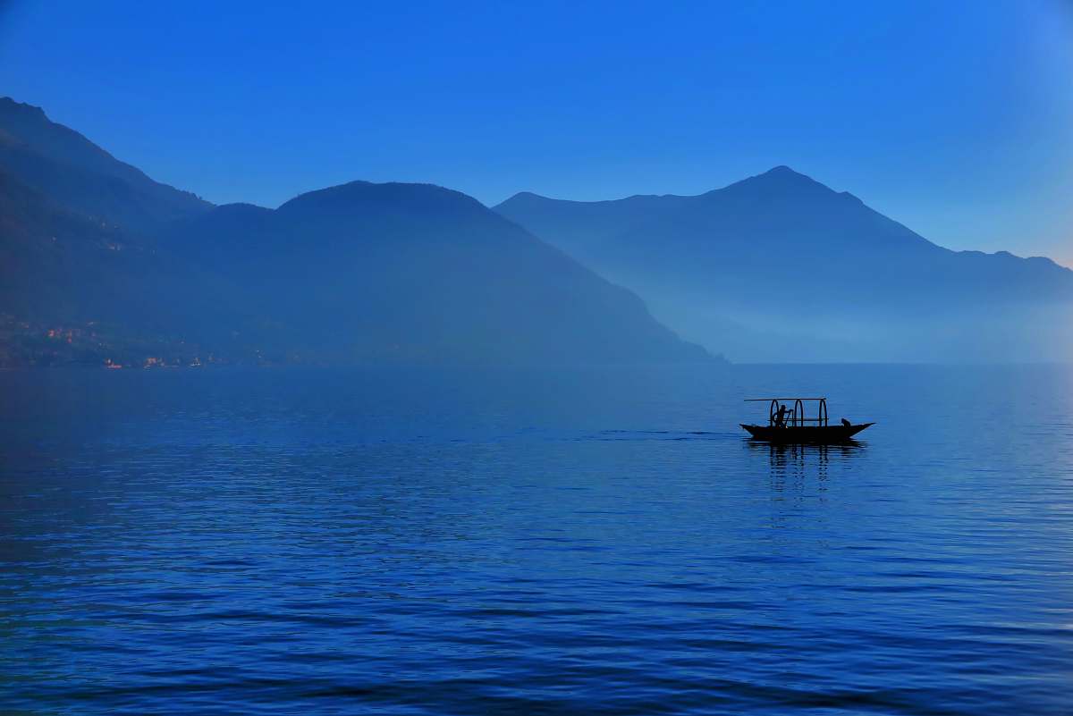 boat black boat in body of water nature