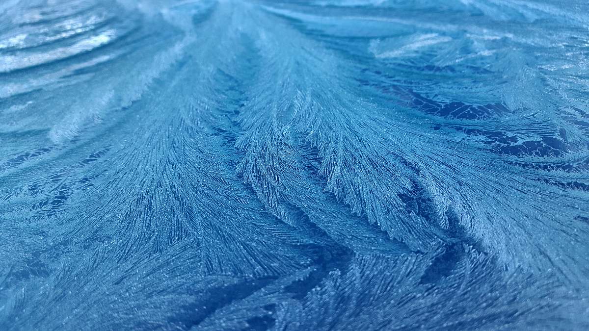 ice black fishes outdoors