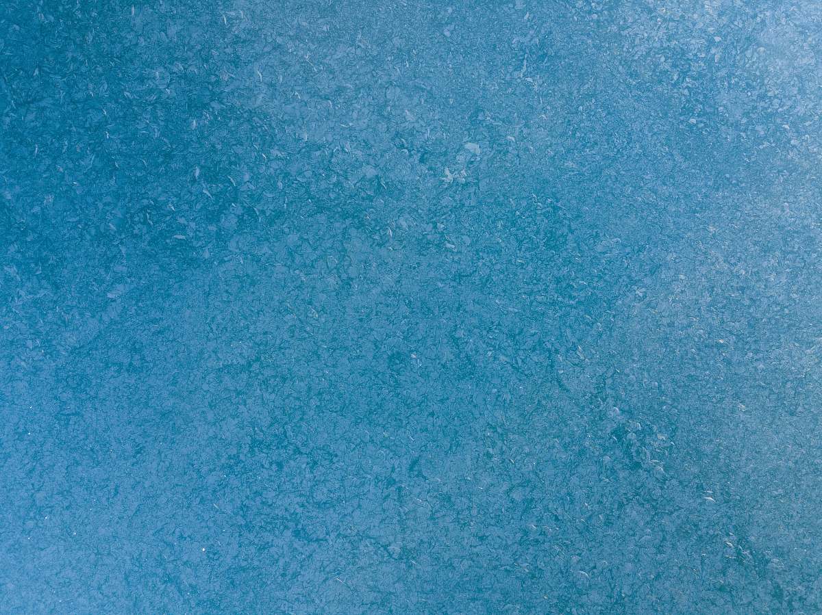 texture blue and white floral textile rug