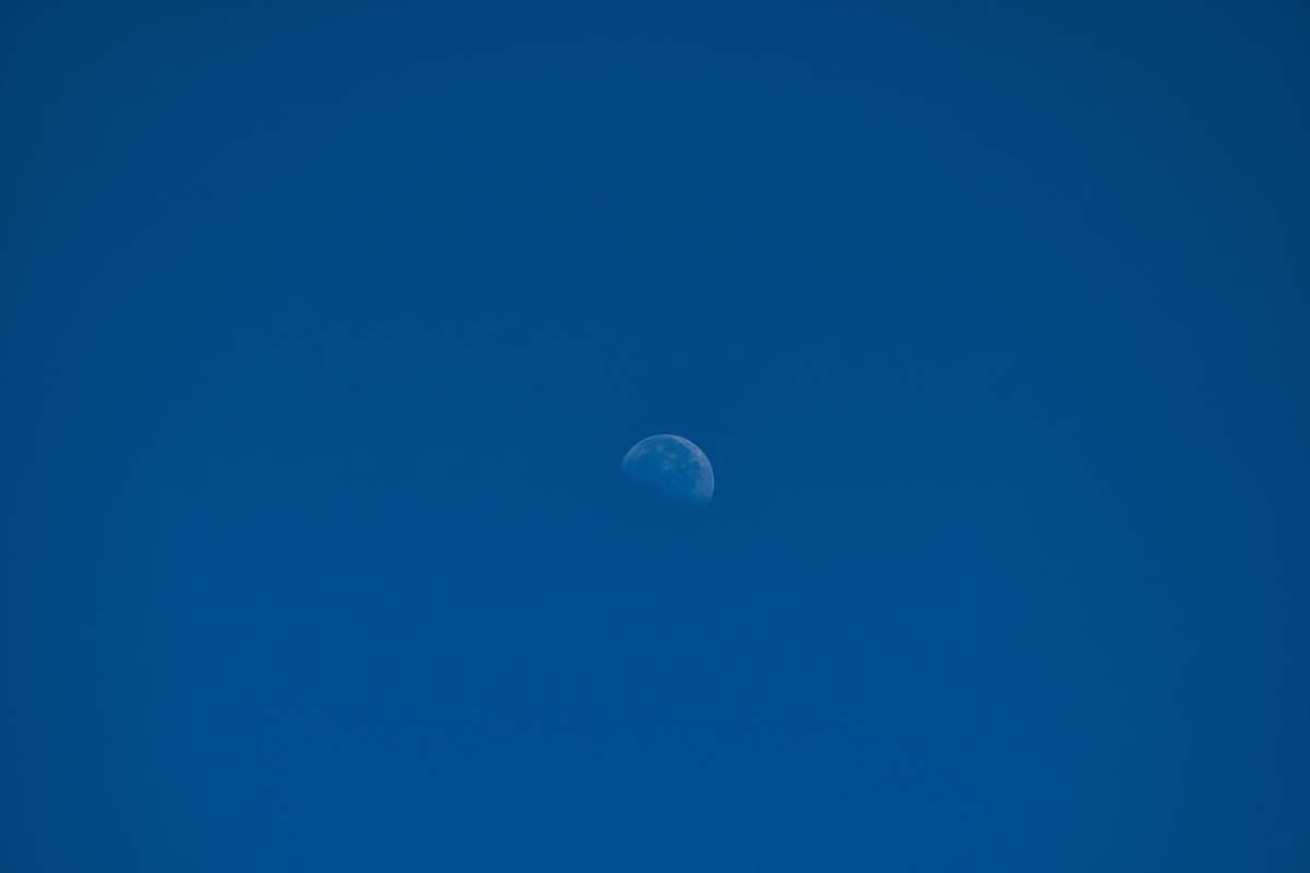 nature blue moon illustration outdoors