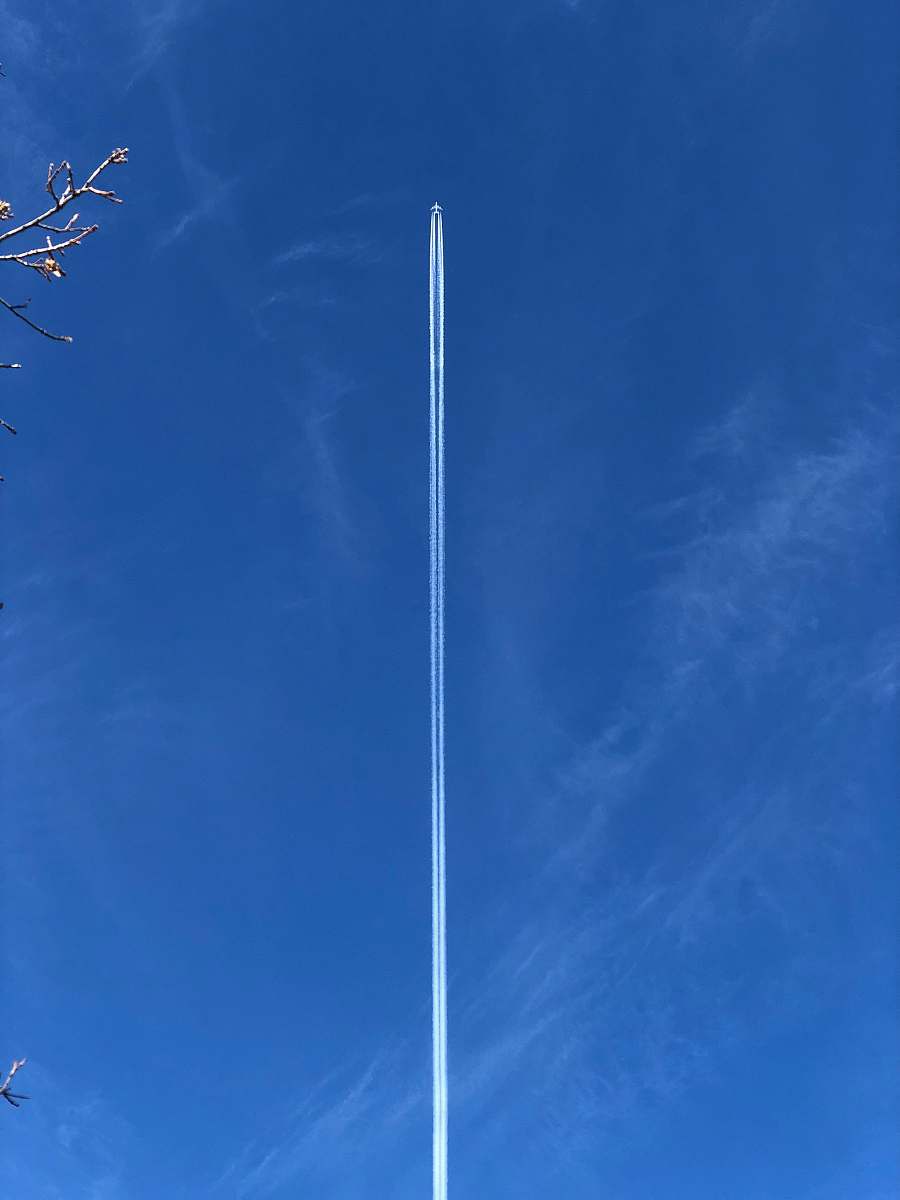 outdoors blue sky nature