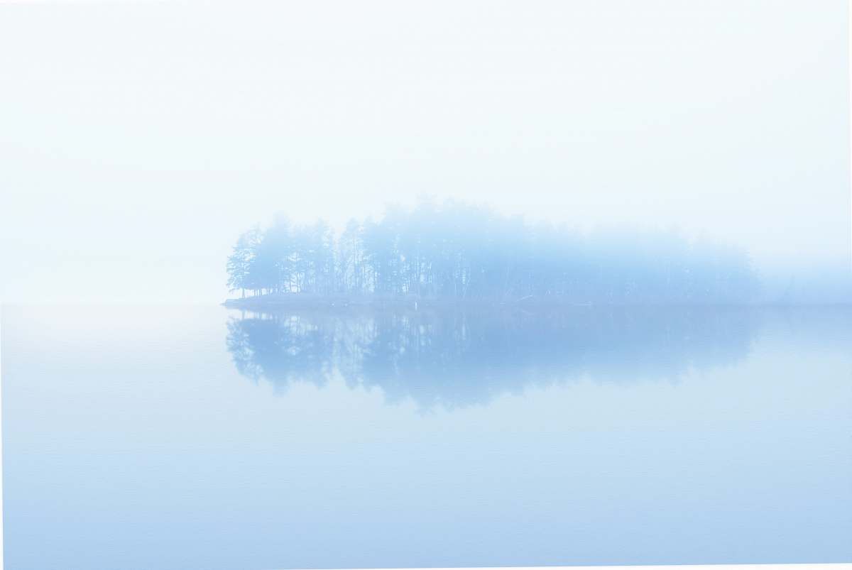 nature body of water across trees surrounded by fogs fog
