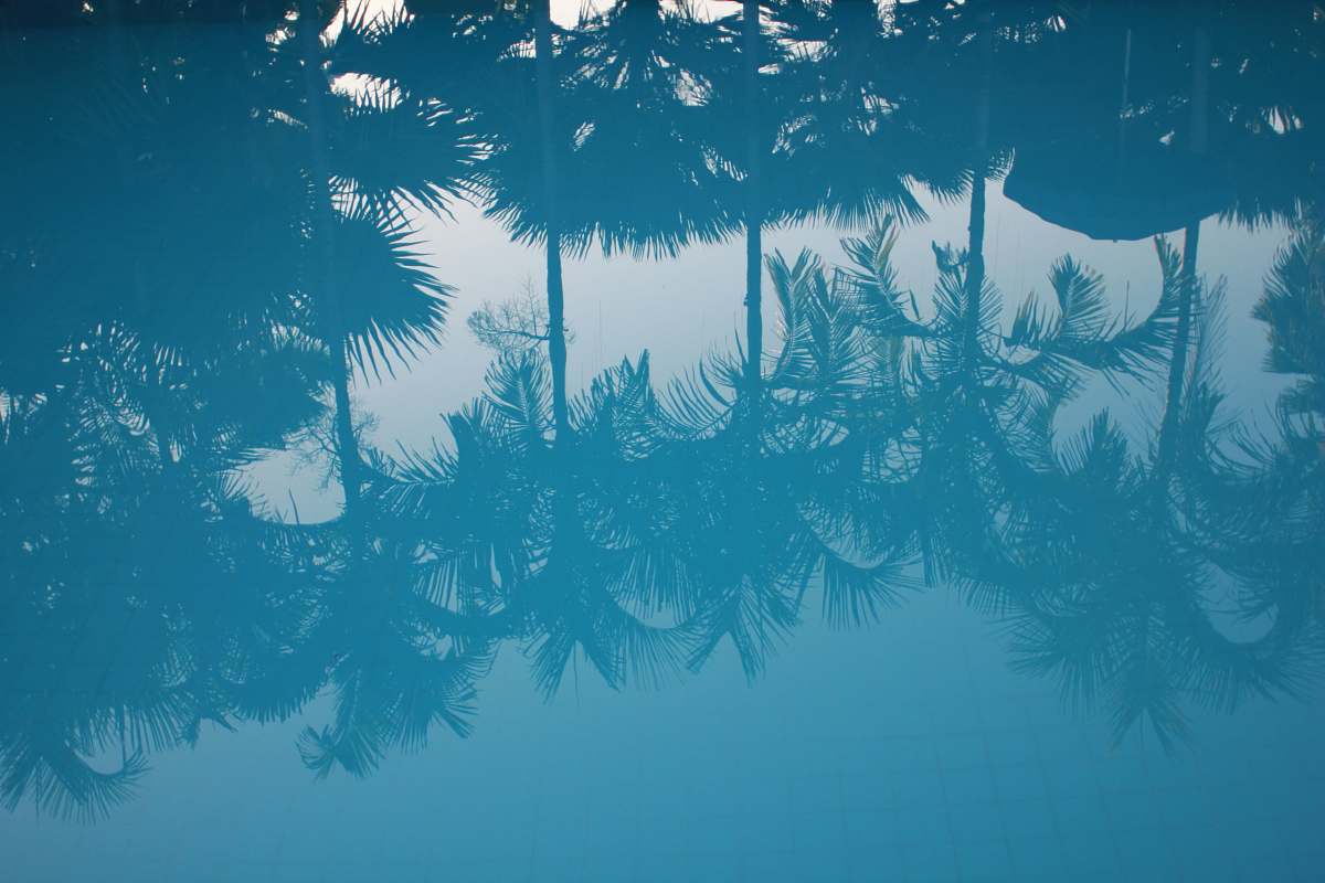 beach body of water water