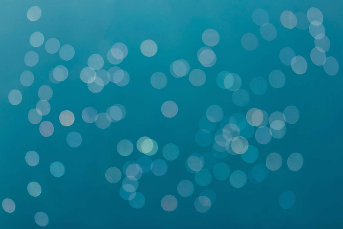 background bokeh photography zoo