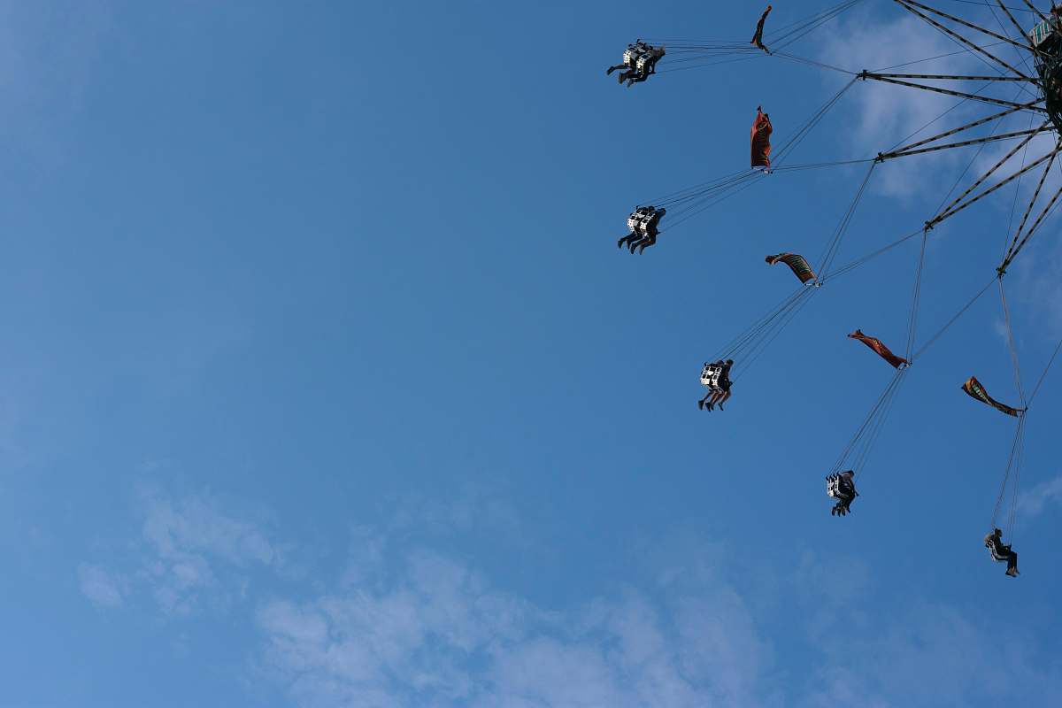 animal carnival ride bird