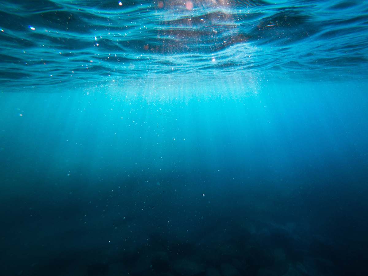 Water Clear Blue Body Of Water Underwater Image Free Photo