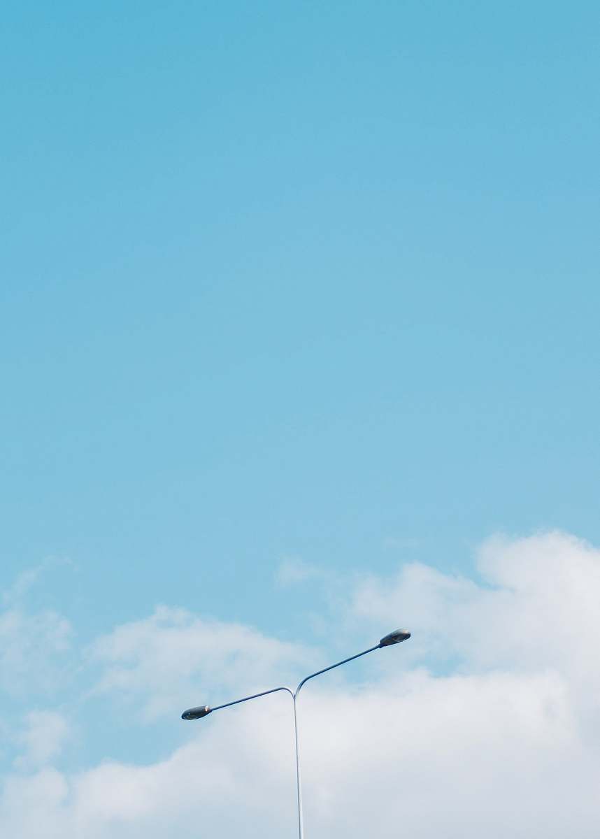 flying gray street lamp across blue sky animal