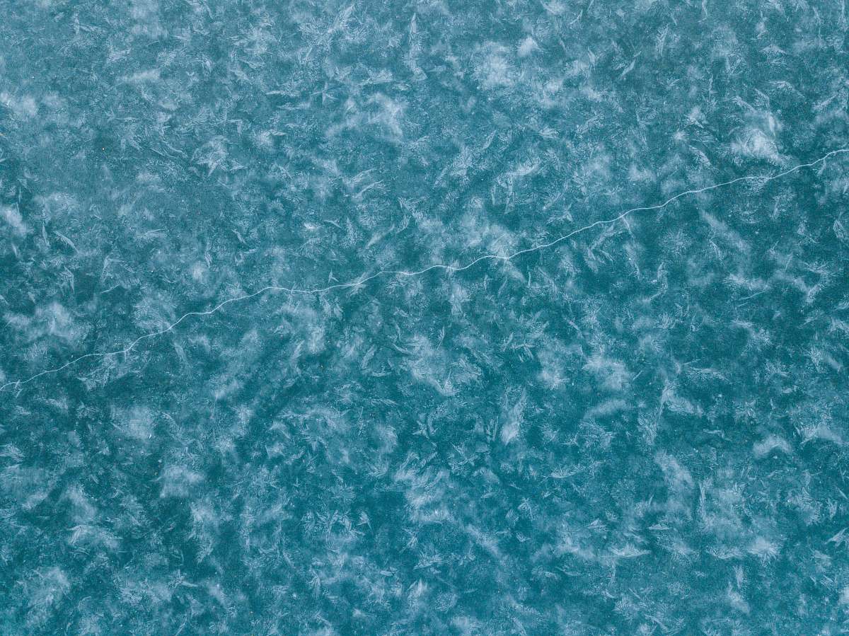 texture green and white floral textile unnamed road