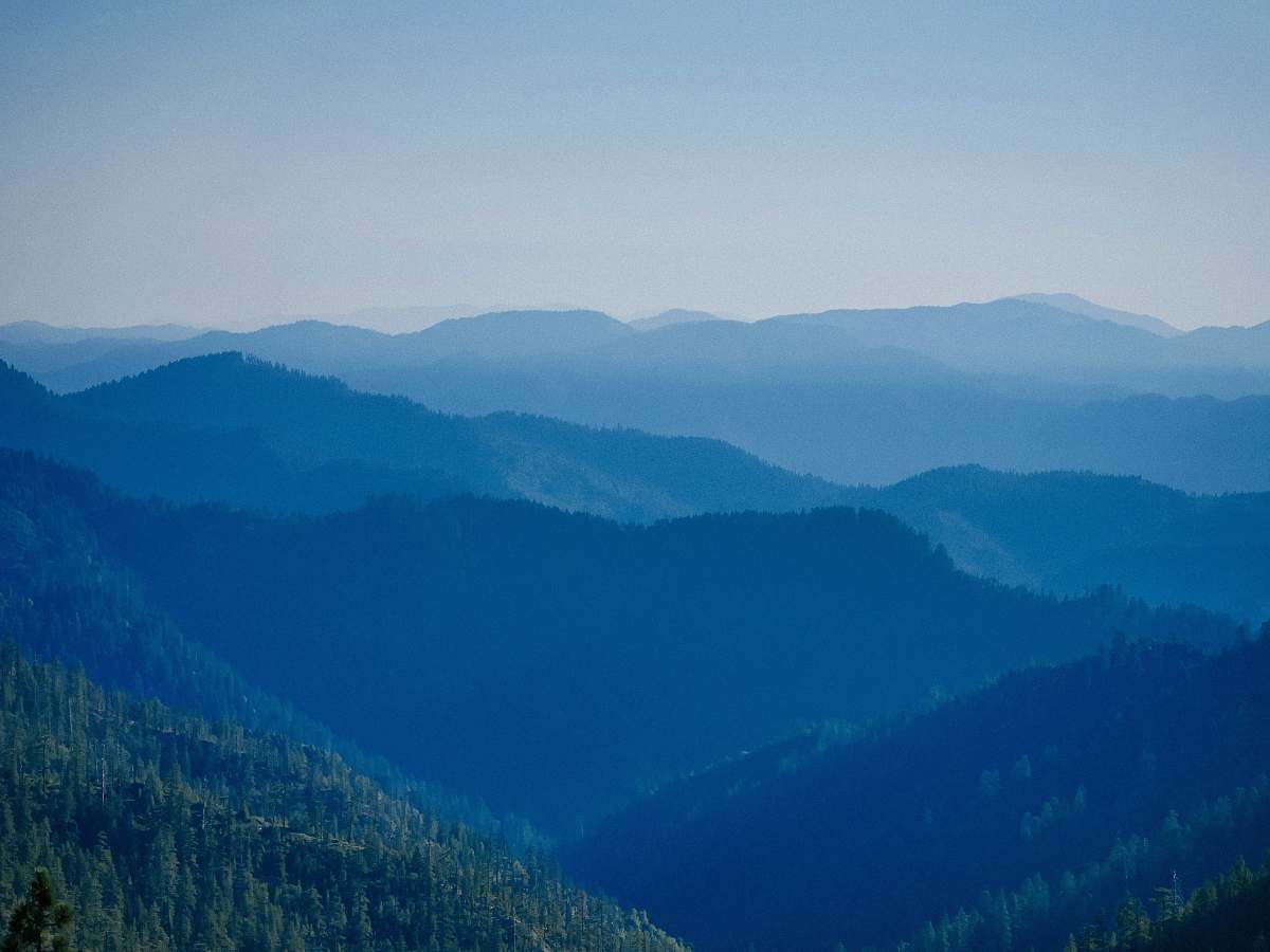 mountain green trees on mountains during daytime nature