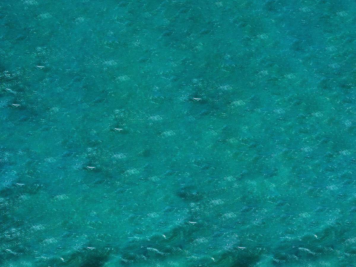teal green waters close-up photo 181-183 challenger parade