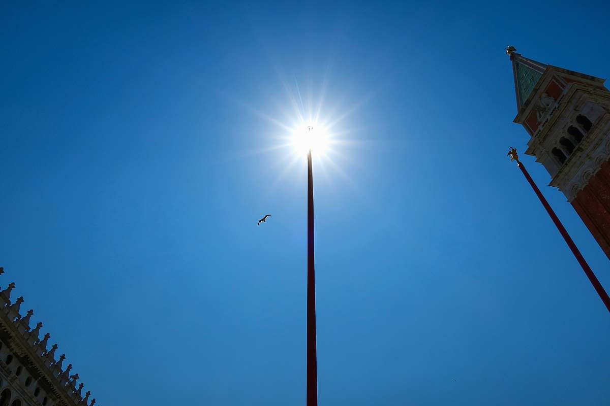 bird grey concrete building flare