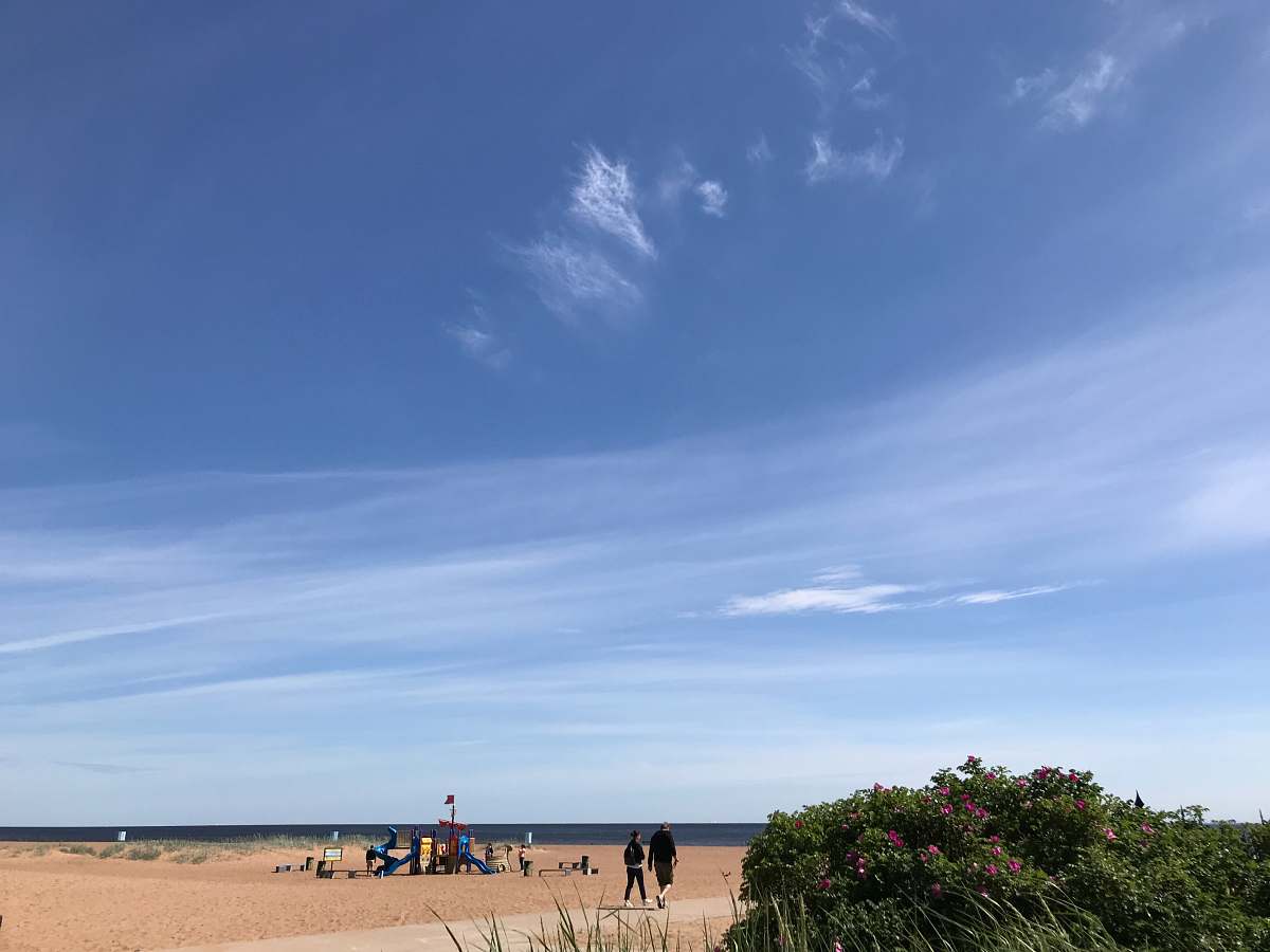 nature group of people playing at beach under clear blue sky зеленогорск (санкт-петербург)