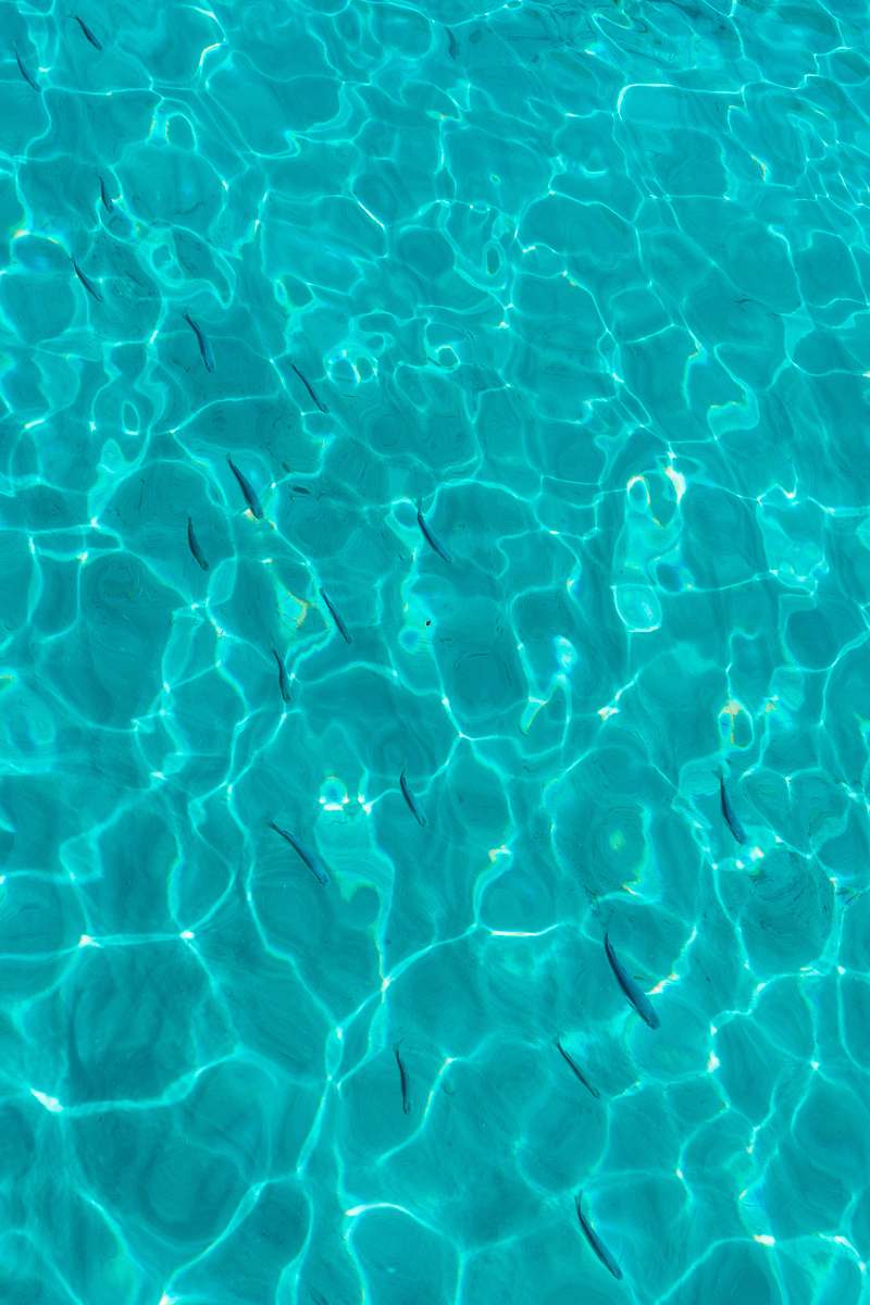outdoors high angle photo of body of water water