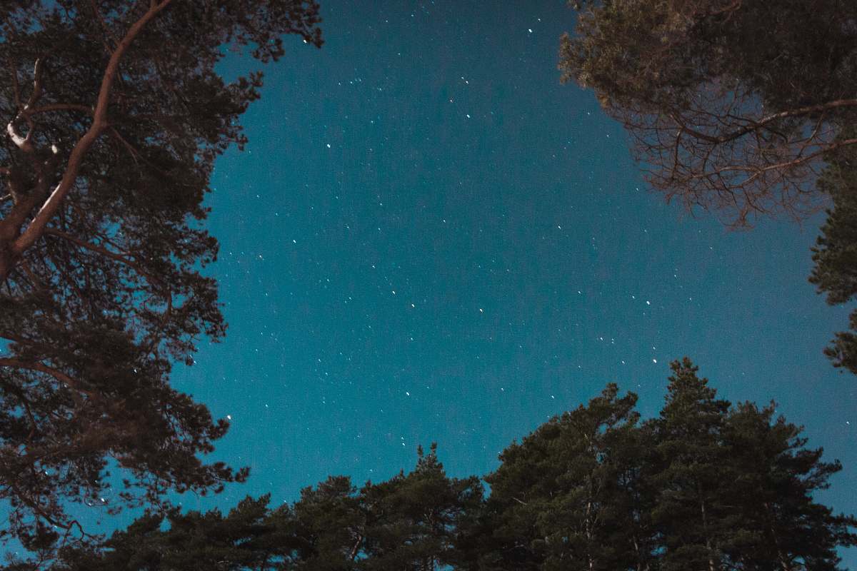 teal low angle photography of stars sweden