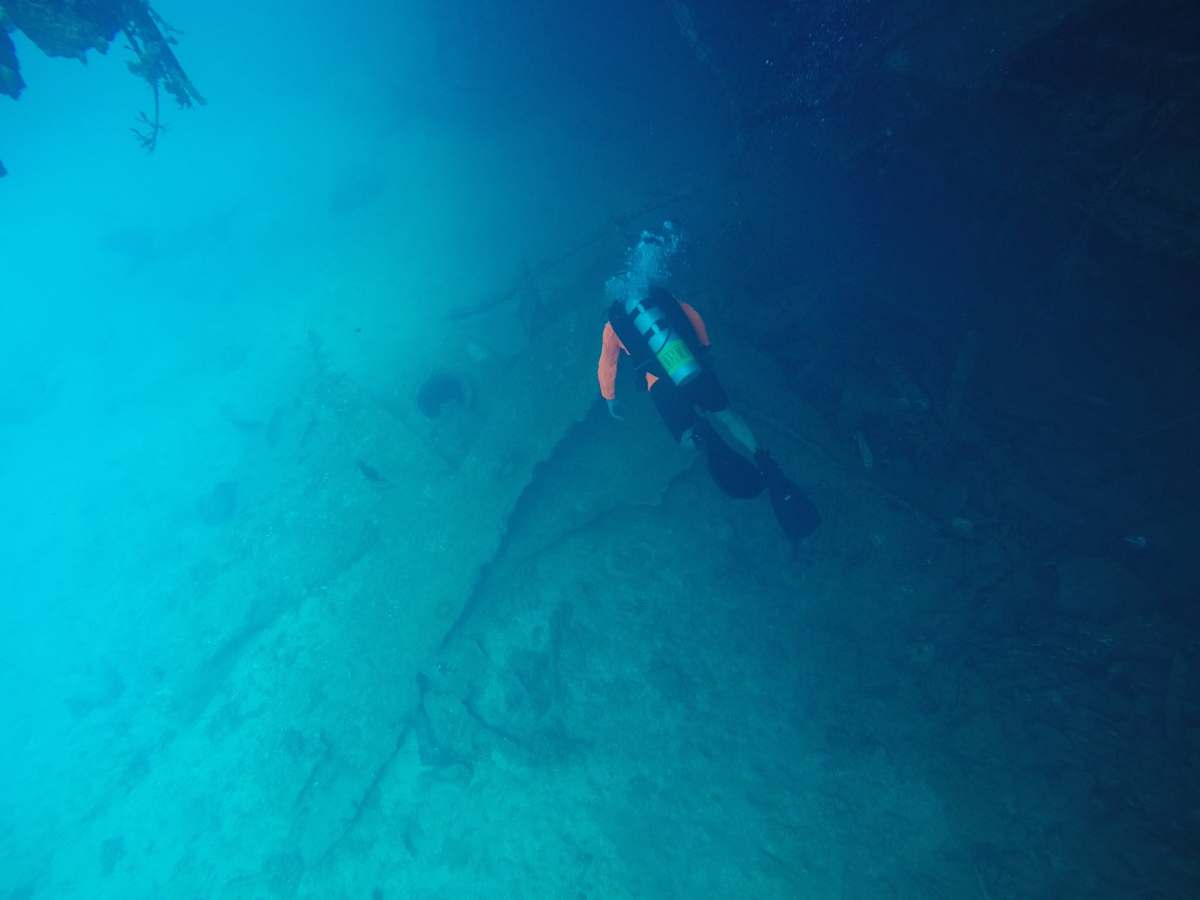 diver man diving in water water